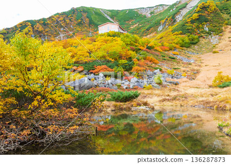Autumn in the Central Alps: Autumn leaves at Senjojiki Cirque Autumn in the Central Alps: Autumn leaves at Senjojiki Cirque 136287873