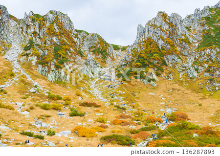 Autumn in the Central Alps: Autumn leaves at Senjojiki Cirque Autumn in the Central Alps: Autumn leaves at Senjojiki Cirque 136287893