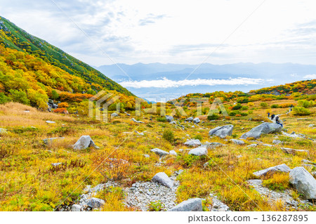 Autumn in the Central Alps: Autumn leaves at Senjojiki Cirque Autumn in the Central Alps: Autumn leaves at Senjojiki Cirque 136287895