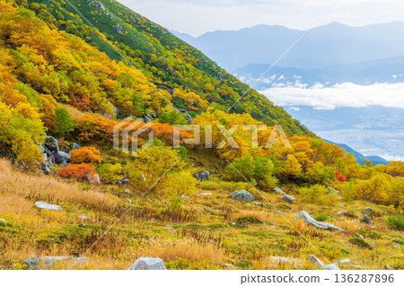 Autumn in the Central Alps: Autumn leaves at Senjojiki Cirque 136287896