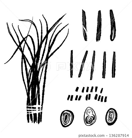 香草套裝插圖,包括檸檬草束、莖和橫截面 香草套裝插圖,包括檸檬草束、莖和橫截面 136287914