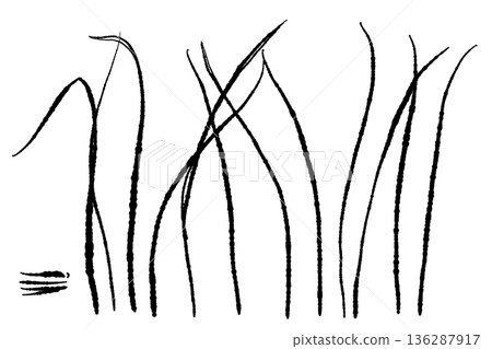 天然棲息地中生長的檸檬草草地的插圖 136287917