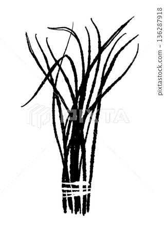 圖中展示了市面上販售的那種香茅捆。 136287918