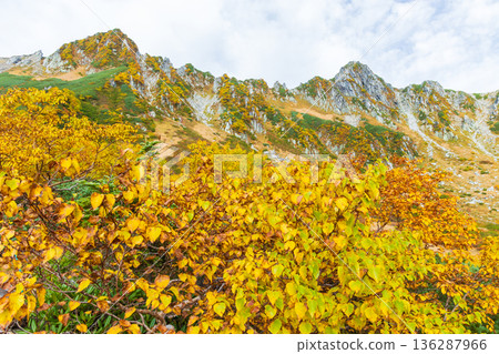 中阿爾卑斯山的秋天：千丈嶋冰鬥的秋葉 136287966