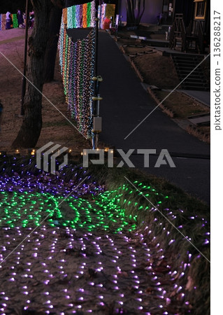 埼玉縣東松山市東松山牡丹園的燈光秀 136288217