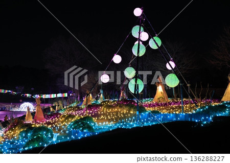 埼玉縣東松山市東松山牡丹園的燈光秀 埼玉縣東松山市東松山牡丹園的燈光秀 136288227