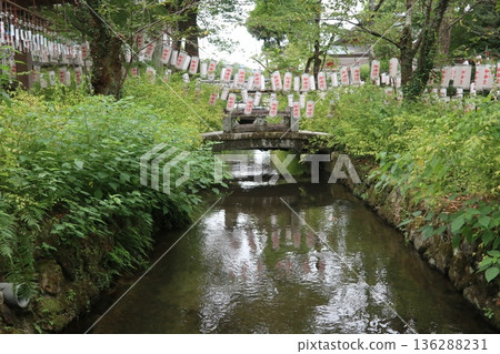 Kyoto Matsuo Taisha Kyoto Matsuo Taisha 136288231