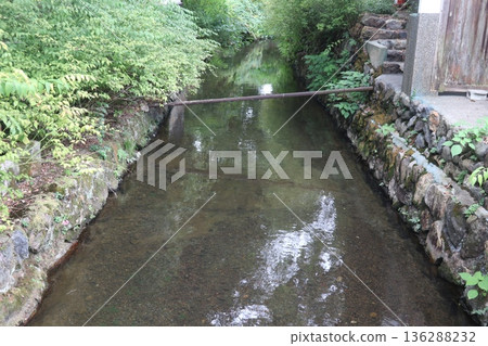 Kyoto Matsuo Taisha 136288232
