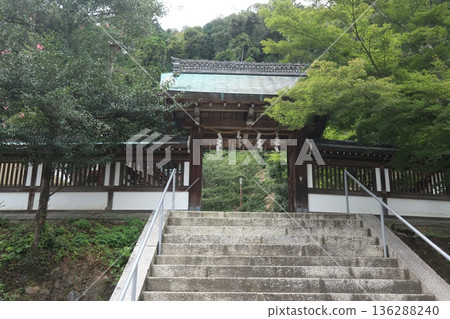 Kyoto Matsuo Taisha 136288240