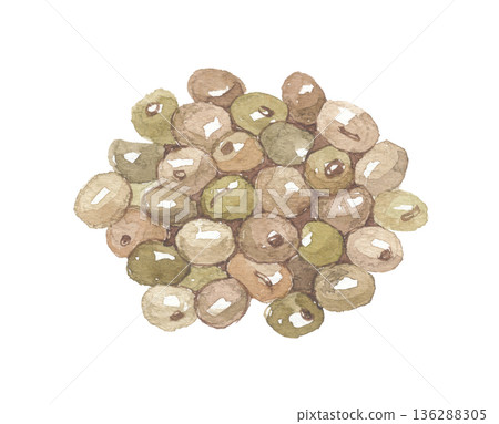 Watercolor painting of perilla fruit and seeds 136288305