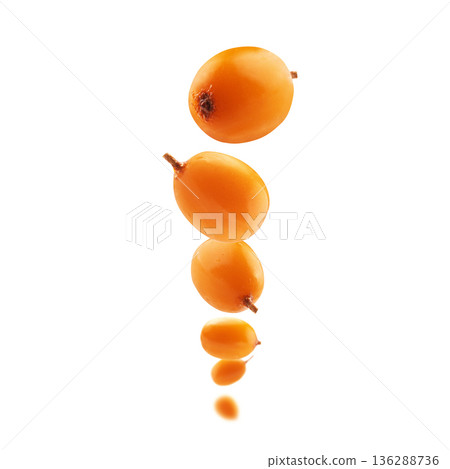 Fresh Sea buckthorn berries Gently Floating in the Air Both Delicious and Nutritious for Everyone Fresh Sea buckthorn berries Gently Floating in the Air Both Delicious and Nutritious for Everyone 136288736