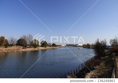 在埼玉縣白岡市的桐山沼澤的風景 在埼玉縣白岡市的桐山沼澤的風景 136288861