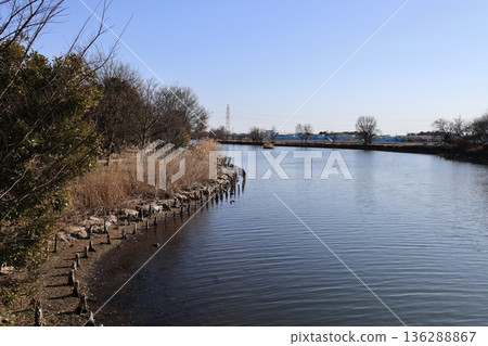 Scenery of Kiriyama swamp in Shiraoka City, Saitama Prefecture 136288867
