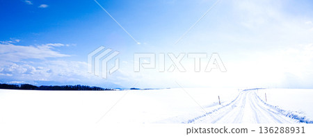 A packed snow icy road scene in Biei, Hokkaido, under the winter sun and blue sky 136288931