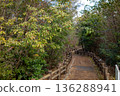 Mountain path leading to the mountain 136288941