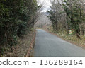 Mountain road 136289164