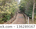 Path surrounded by trees 136289167