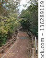 Path surrounded by trees 136289169