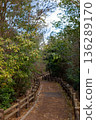 Path surrounded by trees 136289170