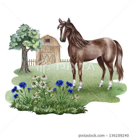 A horse in a farmyard. Hand-drawn watercolor illustration. Beautiful, colorful image. Perfect for dairy product advertising, banners, posters, packaging, labels, and more. 136289240