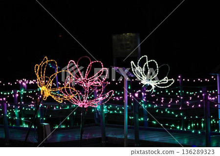 Illumination of ancient lotus village in Gyoda City, Saitama Prefecture 136289323