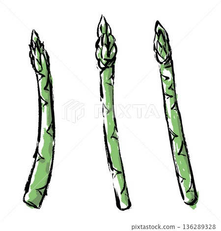 手繪蘆筍插圖，筆觸流暢 136289328