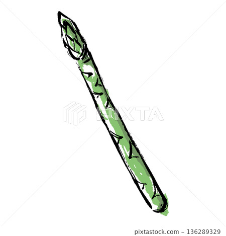 Hand-drawn illustration of asparagus with a brush stroke Hand-drawn illustration of asparagus with a brush stroke 136289329