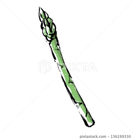 Hand-drawn illustration of asparagus with a brush stroke Hand-drawn illustration of asparagus with a brush stroke 136289330