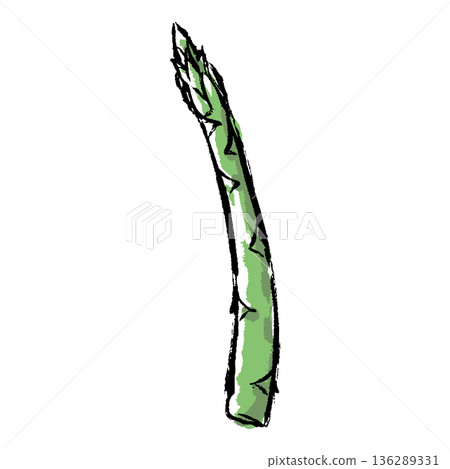 Hand-drawn illustration of asparagus with a brush stroke 136289331