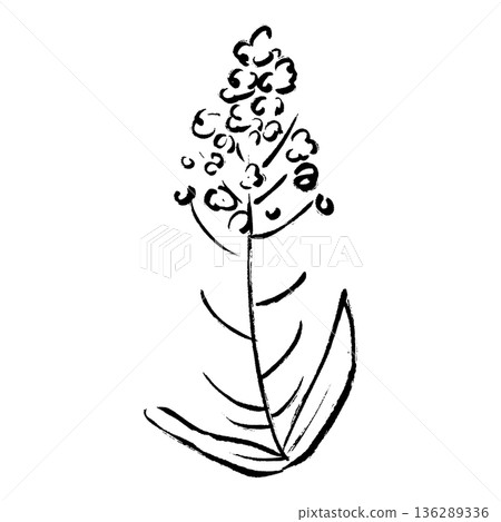 手繪油菜花插圖,筆觸細緻。 手繪油菜花插圖,筆觸細緻。 136289336