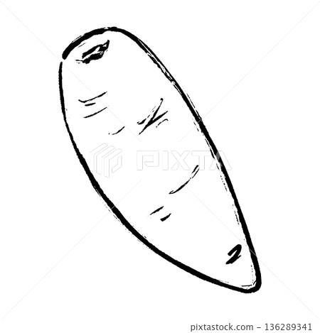Hand-drawn illustration of a carrot with a brush stroke Hand-drawn illustration of a carrot with a brush stroke 136289341