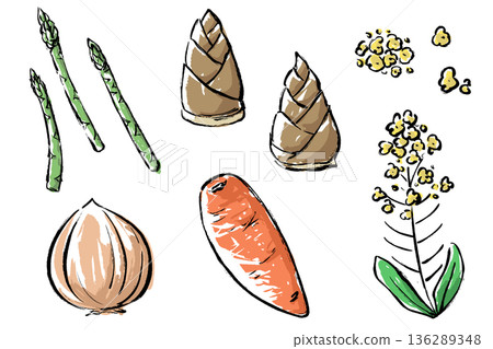 一組五幅筆觸細膩的春季蔬菜插圖 136289348