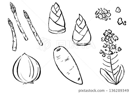 A set of five brush-touch illustrations of spring vegetables 136289349