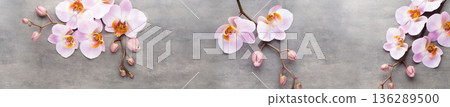 Beautiful pink Phalaenopsis orchid flowers arranged on a grey stone background for spa and wellness banner design Beautiful pink Phalaenopsis orchid flowers arranged on a grey stone background for spa and wellness banner design 136289500