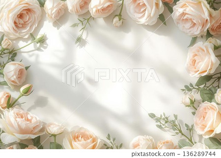 Pink rose frame Pink rose frame 136289744