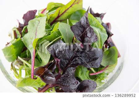 Close-up of baby leaves Close-up of baby leaves 136289952