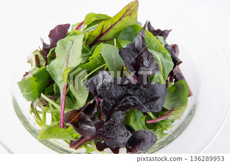 Close-up of baby leaves 136289953