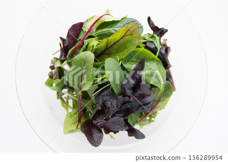 嬰兒葉子的特寫 136289954