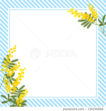 Mimosa frame (square, transparent background, light blue stripes) Mimosa frame (square, transparent background, light blue stripes) 136290066