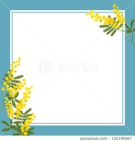 Mimosa frame (square, transparent background, blue frame) Mimosa frame (square, transparent background, blue frame) 136290067