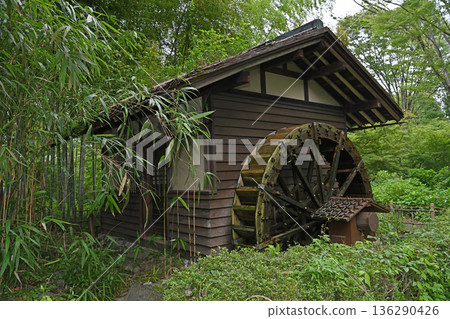 Watermill surrounded by forest on a rainy day Watermill surrounded by forest on a rainy day 136290426