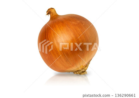 High-detail photo of common onion bulb isolated on white background with clipped path, with shadow and reflection, empty copy space for text. Blank template for artwork on culinary, vegetable topics High-detail photo of common onion bulb isolated on white background with clipped path, with shadow and reflection, empty copy space for text. Blank template for artwork on culinary, vegetable topics 136290661