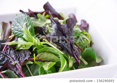 Baby leaves in a white square plate 136290893