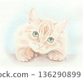 Siberian colored pencils 136290899