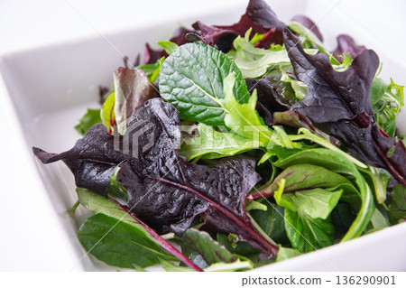 Baby leaves in a white square plate Baby leaves in a white square plate 136290901