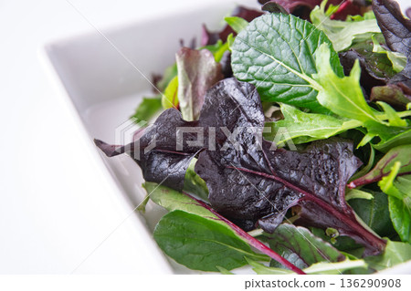 Baby leaves in a white square plate 136290908