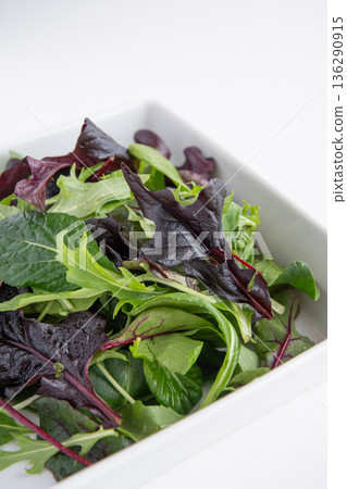 Baby leaves in a white square plate 136290915