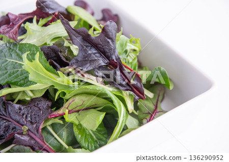 Baby leaves in a white square plate 136290952