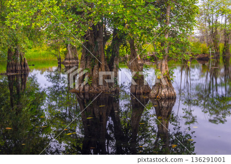 beautiful morning view indonesia panorama landscape beach with beauty color and sky natural light beautiful morning view indonesia panorama landscape beach with beauty color and sky natural light 136291001