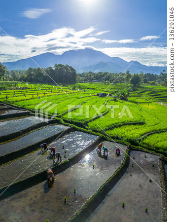 beautiful morning view indonesia panorama landscape beach with beauty color and sky natural light beautiful morning view indonesia panorama landscape beach with beauty color and sky natural light 136291046